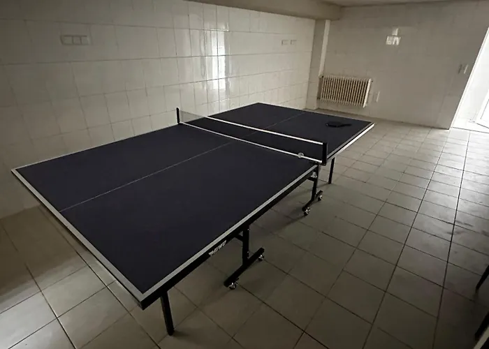 Wohlfühlen Mit Viel Raum Und Garten Am Rhein Apartment